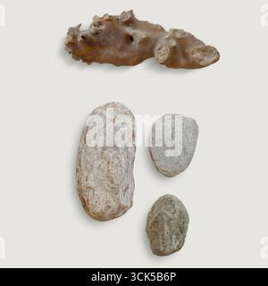 A collection of various stones showcasing different textures and shapes. Stock Photo