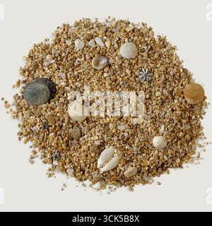 A collection of sand and seashells, showcasing natural textures and colors. Stock Photo