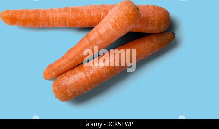 Three fresh carrots arranged together, showcasing their vibrant orange color and natural texture. Stock Photo