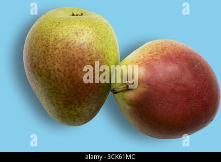 A close-up of two apples, one green with spots and one red, showcasing their natural colors and textures. Stock Photo