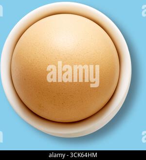 A smooth, light brown egg resting in a white bowl, showcasing its simple and natural form. Stock Photo