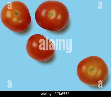 A collection of four ripe red tomatoes arranged in a casual layout, showcasing their vibrant color and fresh appearance. Stock Photo