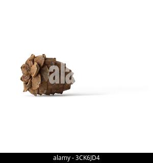 A single pine cone resting on a surface, showcasing its natural texture and shape. Stock Photo