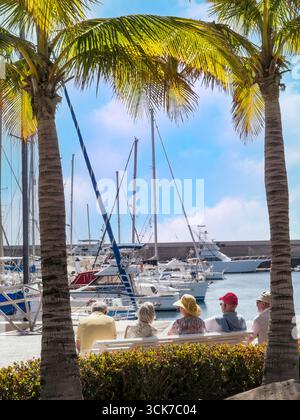 Mature Retired Sun Vacation Group Vacation Living. Spain View Elderly Pensioners Holiday older holidaymakers abroad Seniors seated Winter Sun Holiday Group of mature pensioner friends holidaymakers sitting on a sunny bench framed by palm trees enjoying marina view Puerto Calero Lanzarote Canary Islands Spain concept future finance pension income wills lifestyle Stock Photo