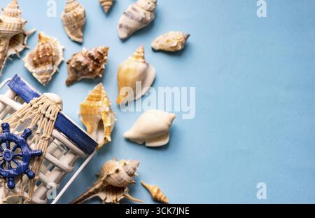 Flat lay summer composition with sea shells on blue background with copy space Stock Photo