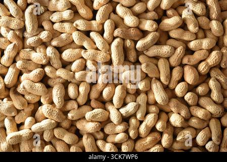 Texture background of a pile of peanuts in shell with side lighting and top view. Stock Photo