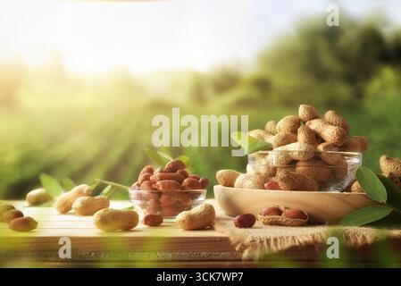 Bowls full of peanuts with shell and without shell on a wooden table with crop fields in the background. Stock Photo