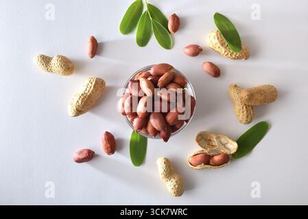 Heap of peeled peanuts with skin in a glass bowl in the center isolated on a white table with leaves. Front view. Stock Photo