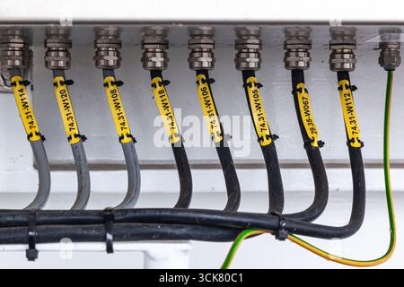 Several powerful electrical cables connected to a junction box. Stock Photo
