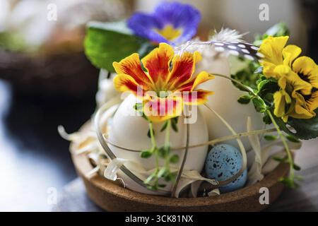 Easter holiday natural composition with first spring flowers like tricolor violas and primerose, colored eggs Stock Photo