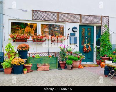 Autumn has just moved in Orange red and yellow seasonal foliage flowers vegetables used to decorate the front of house in Abbey Wood South East London Stock Photo