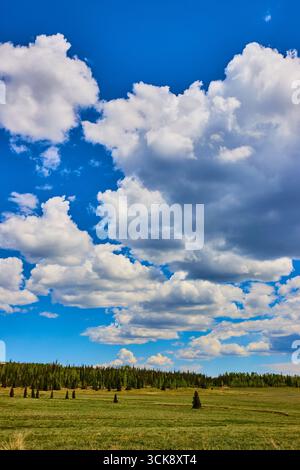 Blue Sky and Dramatic Clouds Over Green Meadow and Pine Forest Landscape Stock Photo