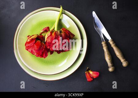 Summer table setting decorated with Red Princess tulips on rustic background Stock Photo