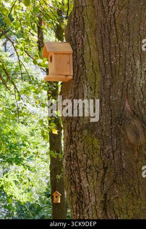 Closeup of a handmade wooden birdhouse mounted on a large tree trunk, with another visible in the background. Symbol of eco living, wildlife shelter, Stock Photo