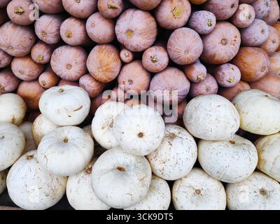 A vivid display with various squash and pumpkins of different shapes, sizes and colors, laid out on the shelves in the grocery department of the store Stock Photo