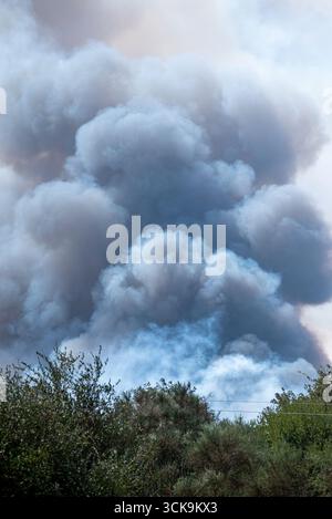 The dangerous and toxic air pollution from a forest fire A Climate Crisis in Action Stock Photo