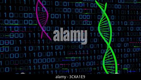 Streaming binary code across virtual data grid with neon green and magenta DNA helices, copy space Stock Photo