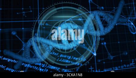 Twisting DNA double helix floating in lab interface, with grid lines, HUD rings and molecular nodes Stock Photo