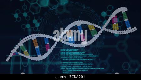 3D DNA helix floating in lab UI, with colored beads, hexagon diagrams, code blocks, waveform traces Stock Photo