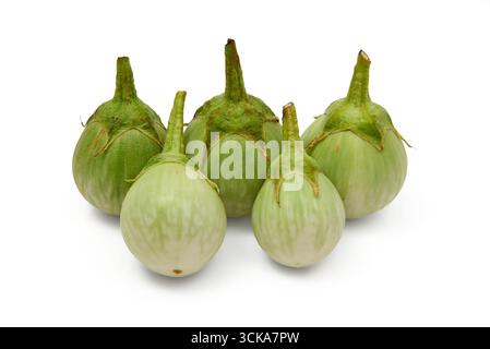 Five green eggplants are displayed on a white surface, showcasing their unique rounded shape and smooth skin. The vegetables appear fresh and ready fo Stock Photo