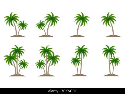 Coconut Tree or  Palm Tree Vector Illustration Isolated on White Background. Stock Vector
