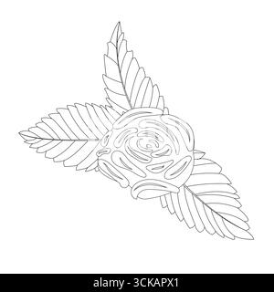 Composition of roses flowers and leaves in doodle style. Vector illustration isolated on white background. Stock Vector