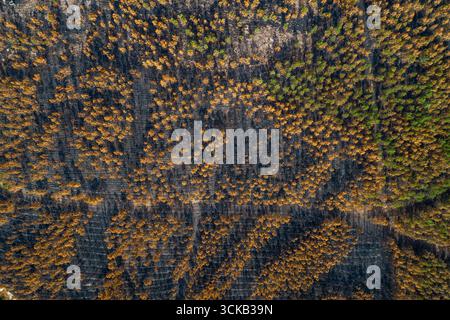 Aerial top down view of scorched earth landscape with trenches and soil ...