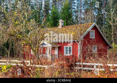 Red idyllic wooden cottage in the forest with a white wooden fence in autumn Stock Photo
