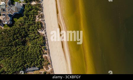 Aerial view of Palanga's sandy beach, greenish Baltic Sea waters, adjacent pine forest, and a visible structure surrounded by dense greenery. Stock Photo