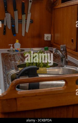Compact boat galley featuring a stainless steel sink with fresh basil, a magnetic knife rack, wooden cabinetry, and visible cleaning supplies. Stock Photo