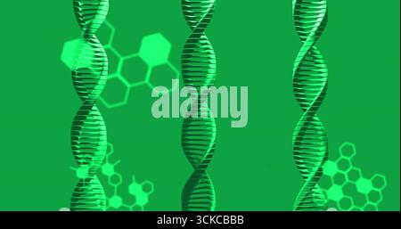 Displaying three green DNA double helix structures across biotech backdrop, with hexagonal motifs. Genetics, molecular biology, biomedical, scientific Stock Photo