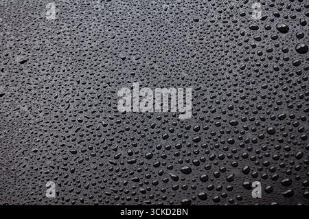 Macro view of dark black variant surface covered with numerous small water droplets. Stock Photo