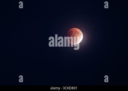 Red Moon During Lunar Eclipse in a Starlit Night Sky Stock Photo