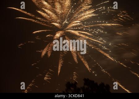 A fireworks display against the night sky Stock Photo