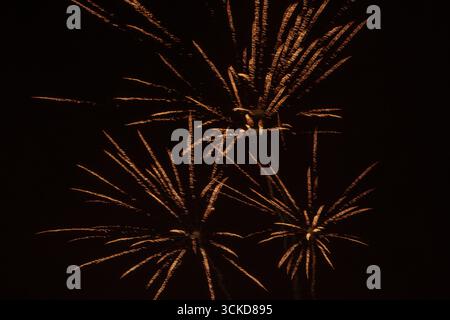 A fireworks display against the night sky Stock Photo