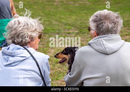 A long-haired black and tan dachshund with its owners at the Dachshund Day dog show, Steeple Aston, Oxfordshire, UK Stock Photo