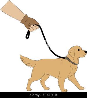 An illustration of a hand holding a dog leash, guiding a happy golden retriever on a walk. Perfect for pet care, training, and outdoor activity themes Stock Vector