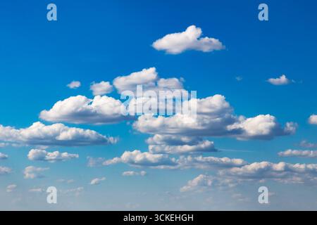 Minimalist sky background featuring crisp white cumulus clouds floating across deep blue, leaving broad negative space for copy. Versatile backdrop fo Stock Photo