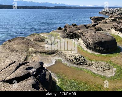 Eroded sandstone formations at Ford's Cove, Hornby Island, British Columbia, Canada Stock Photo