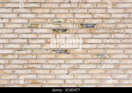 Background made of an ordinary beige brick wall Stock Photo
