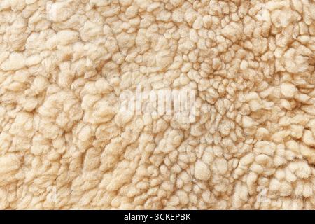 Sheep wool closeup texture. Natural fleece background of warm fluffy material. Beige textile surface. Stock Photo
