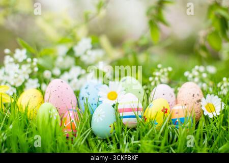 Easter eggs in the grass with daisies and daffodils, Composing Stock Photo