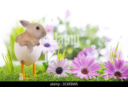 Bunny hatching on a chicken egg with legs on a lawn with flowers, Composing Stock Photo