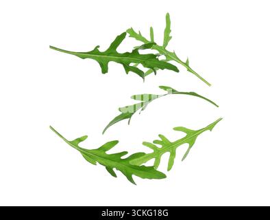 Flying leaves of arugula isolated on white background, closeup Stock Photo
