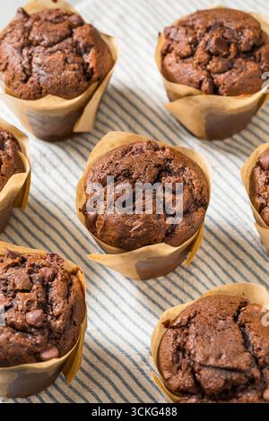 Sweet Homemade Double Chocolate Chip Muffin for Breakfast Stock Photo