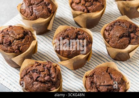Sweet Homemade Double Chocolate Chip Muffin for Breakfast Stock Photo