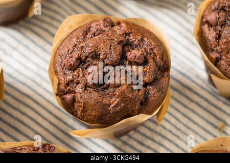 Sweet Homemade Double Chocolate Chip Muffin for Breakfast Stock Photo