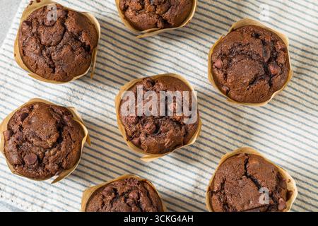 Sweet Homemade Double Chocolate Chip Muffin for Breakfast Stock Photo
