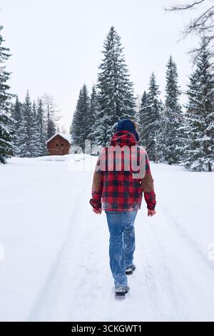 Caucasian young adult man walking alone on snowy path toward wooden cabin surrounded by tall evergreen trees in winter forest, wearing winter clothing and boots, back view Stock Photo