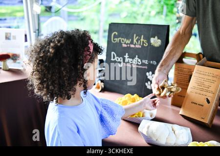 Yellow and white oyster mushrooms held in paper tray Stock Photo
